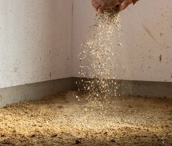 Anwendung Stroh Granulat Händie welche Stroh Granulat in der Pferdebox verteilen