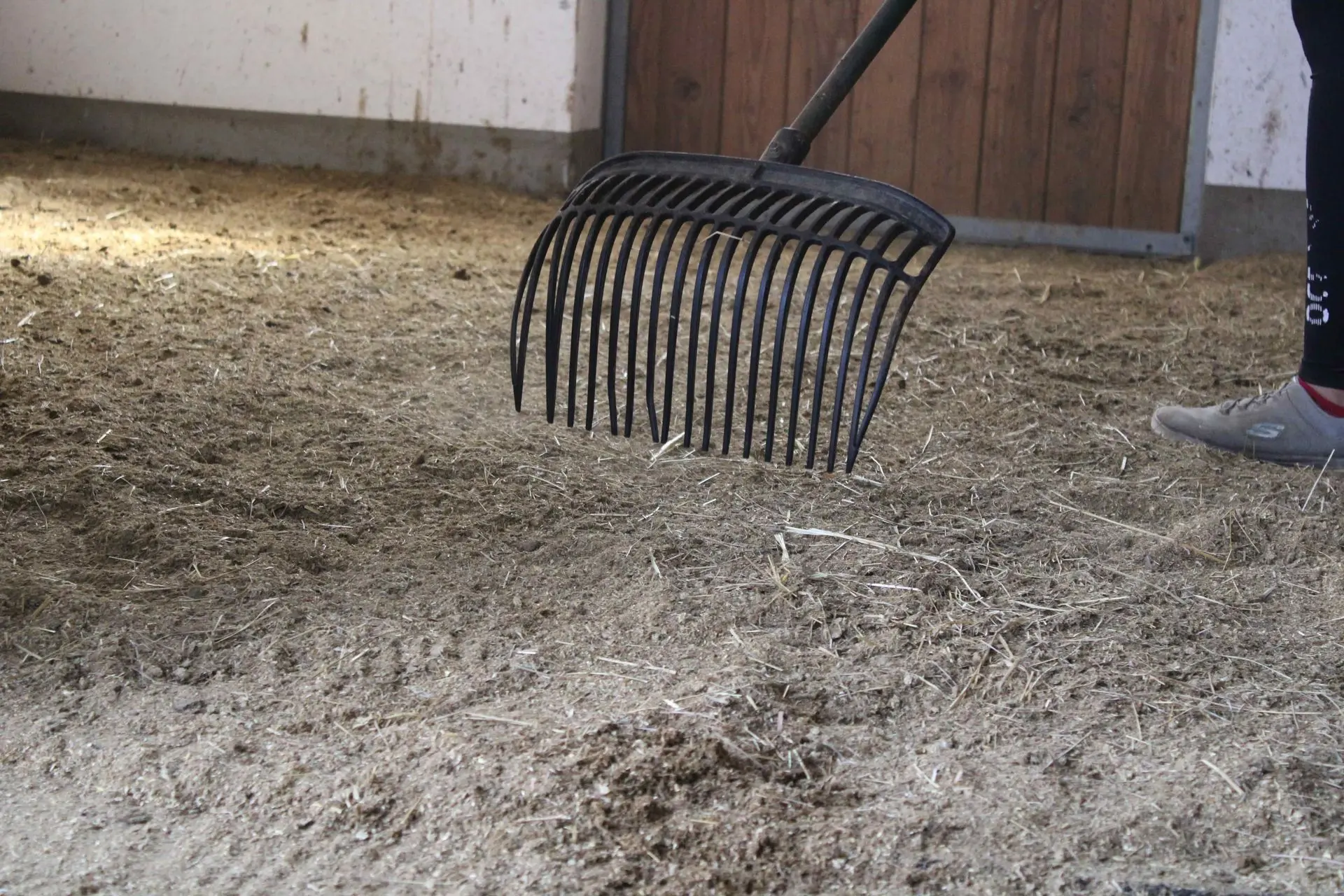 Strohgranulat in einer Pferdebox welche mit einer Mistgabel gereinigt wird