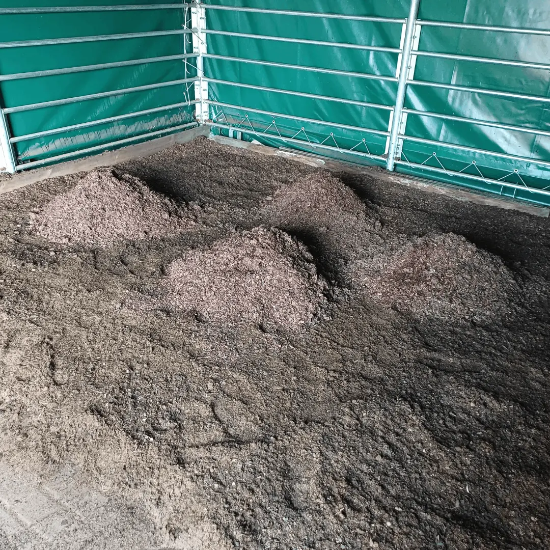 Waldbodeneinstreu Nachstreu auf der ersten Schicht