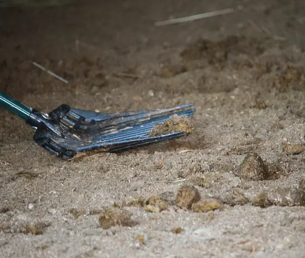 Pferdemist auf einer Bollengabel