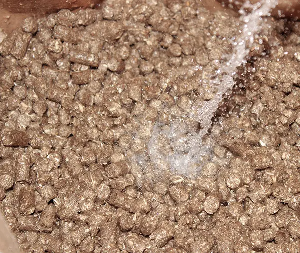 Miscanthus Pellets werden eingeweicht