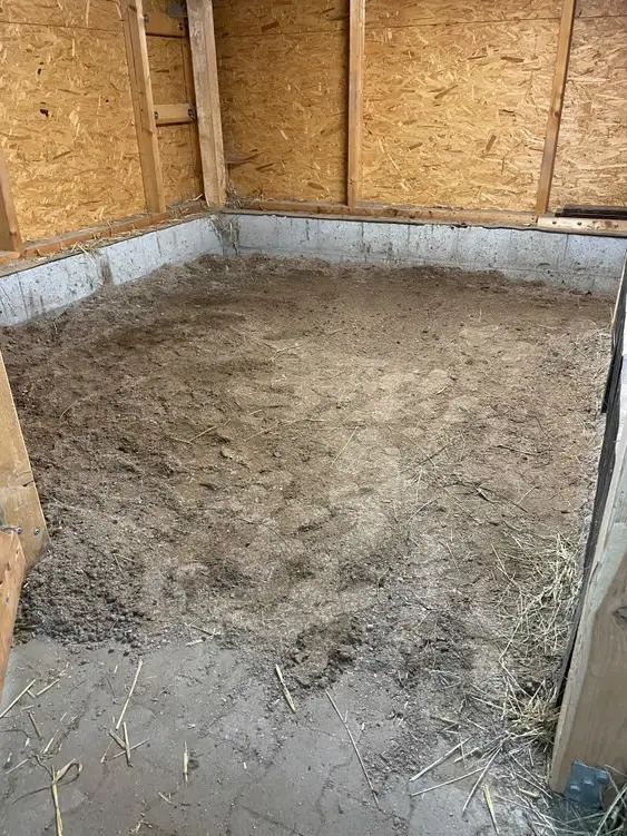 Pferdebox mit Miscanthus Pellets Einstreu