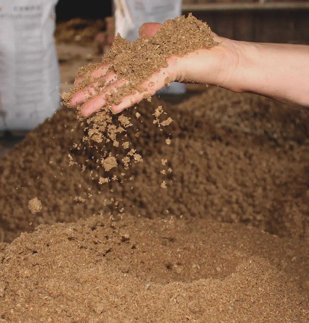 Ein Hand fässt aufgequollene Miscanthus Pellets an