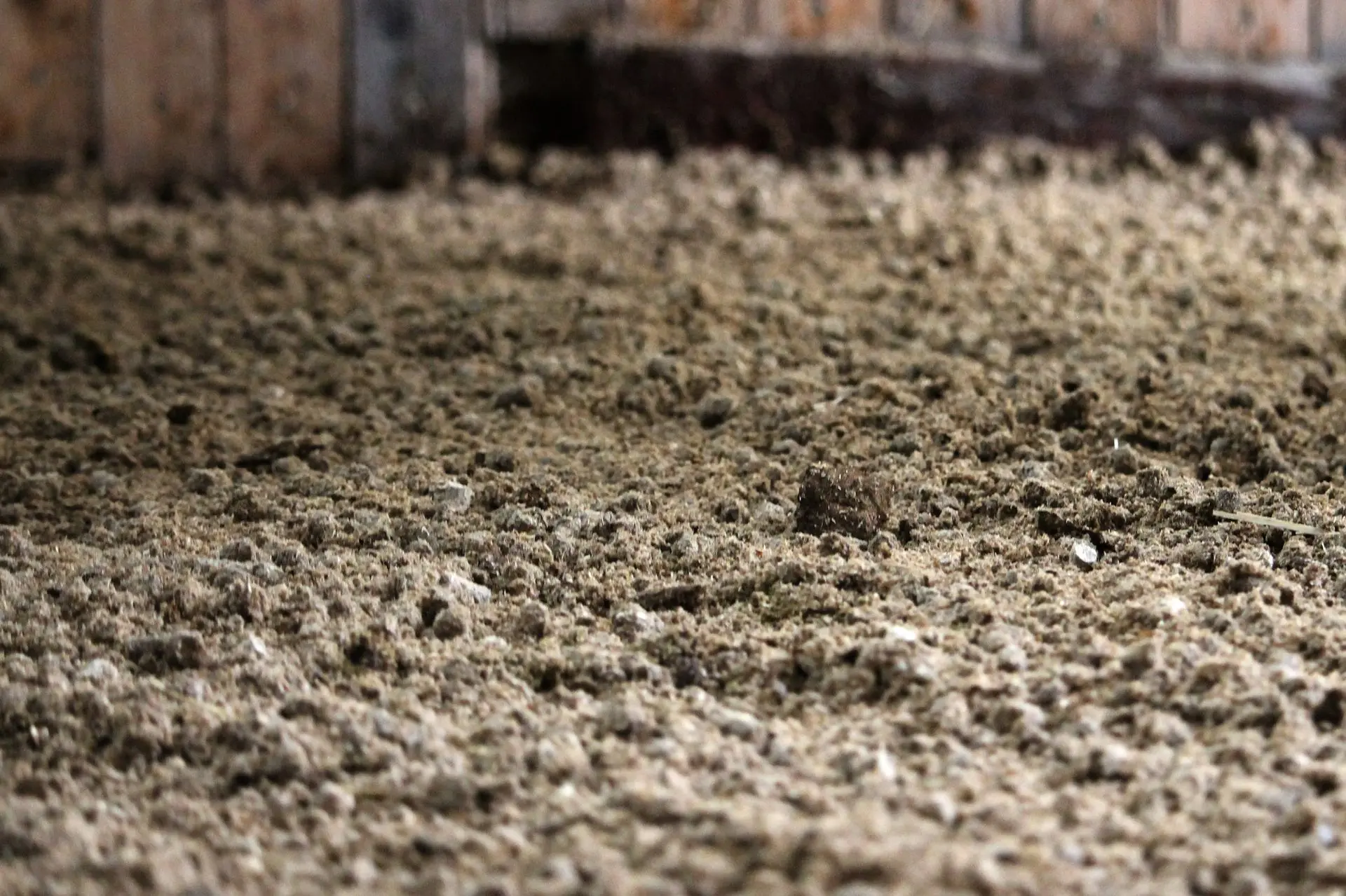 aufgequollene Miscanthus Pellets in einem Offenstall, Nahaufnahme