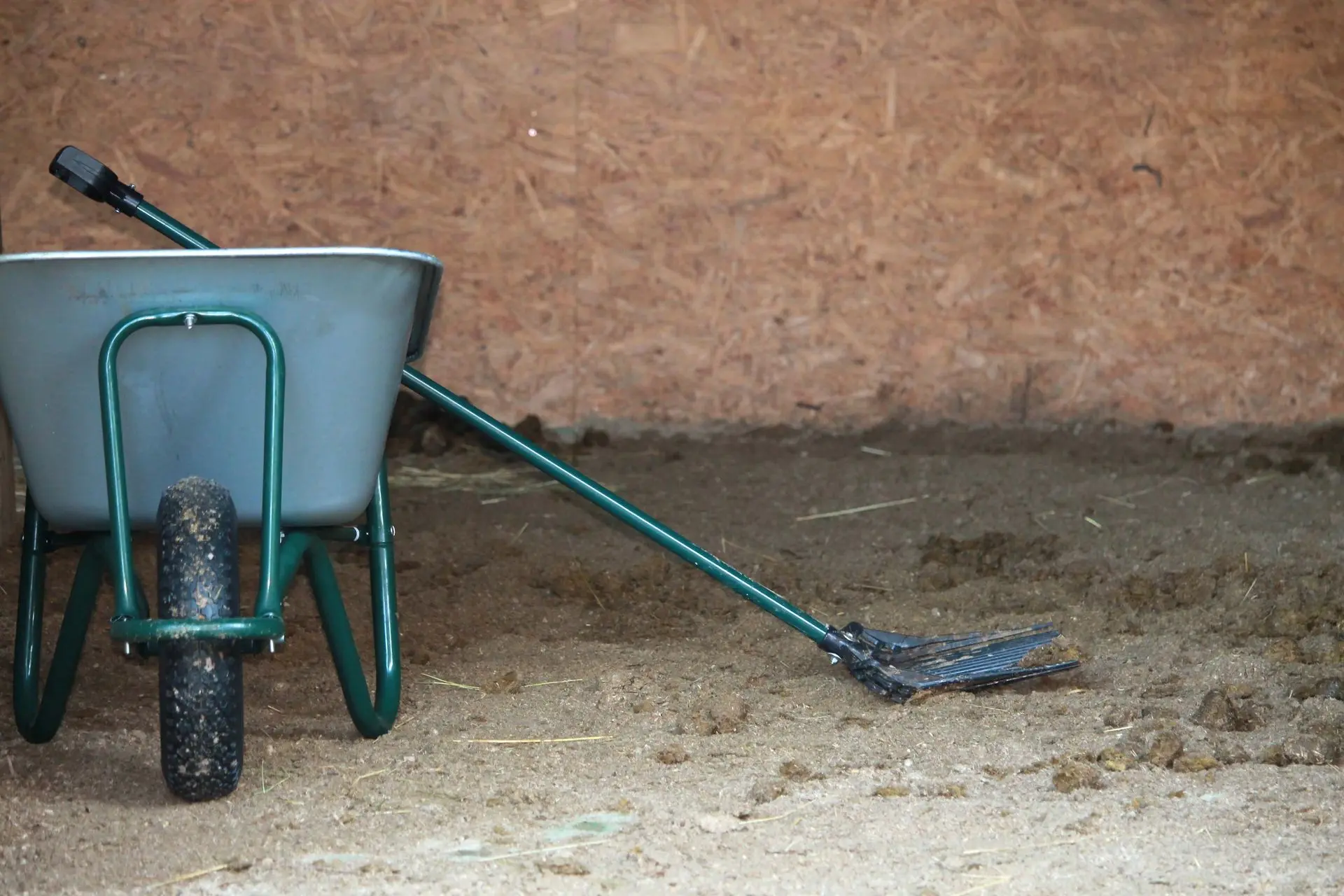 EIne Schubkarre steht mit einer Bollengabel in der Pferdebox, welche mit Miscanthus Pellets eingestreut ist