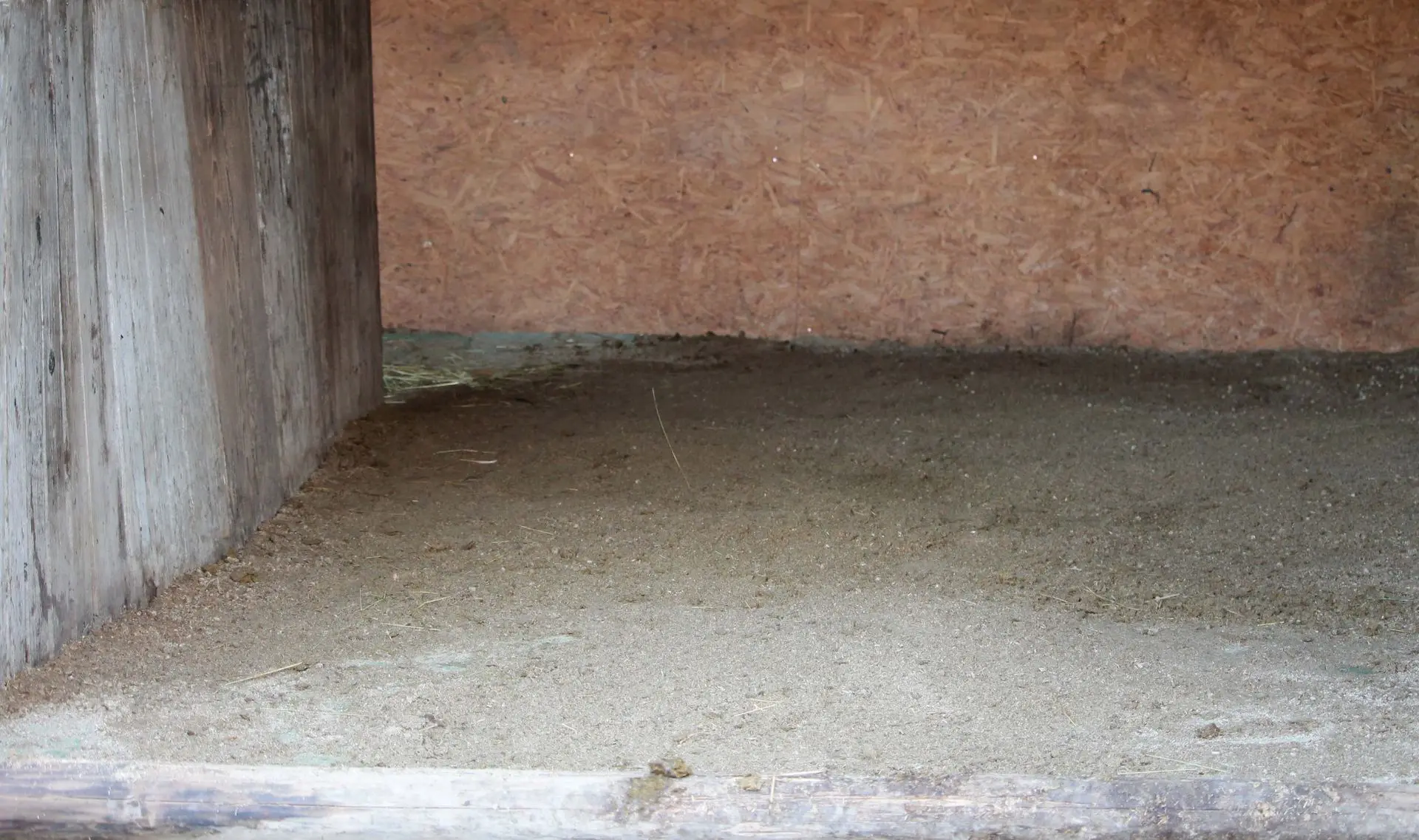 Offenstall mit Miscanthus Pellets Einstreu