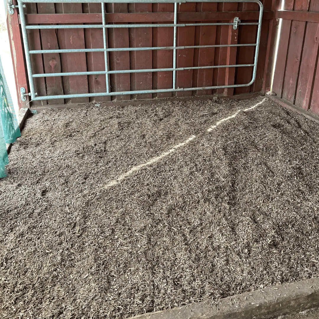 Offenstall mit Waldboden Einstreu