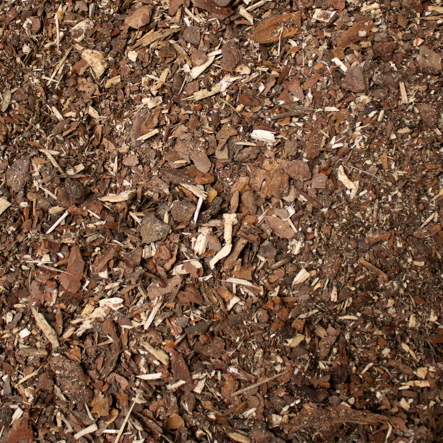 Waldboden Einstreu Nahaufnahme