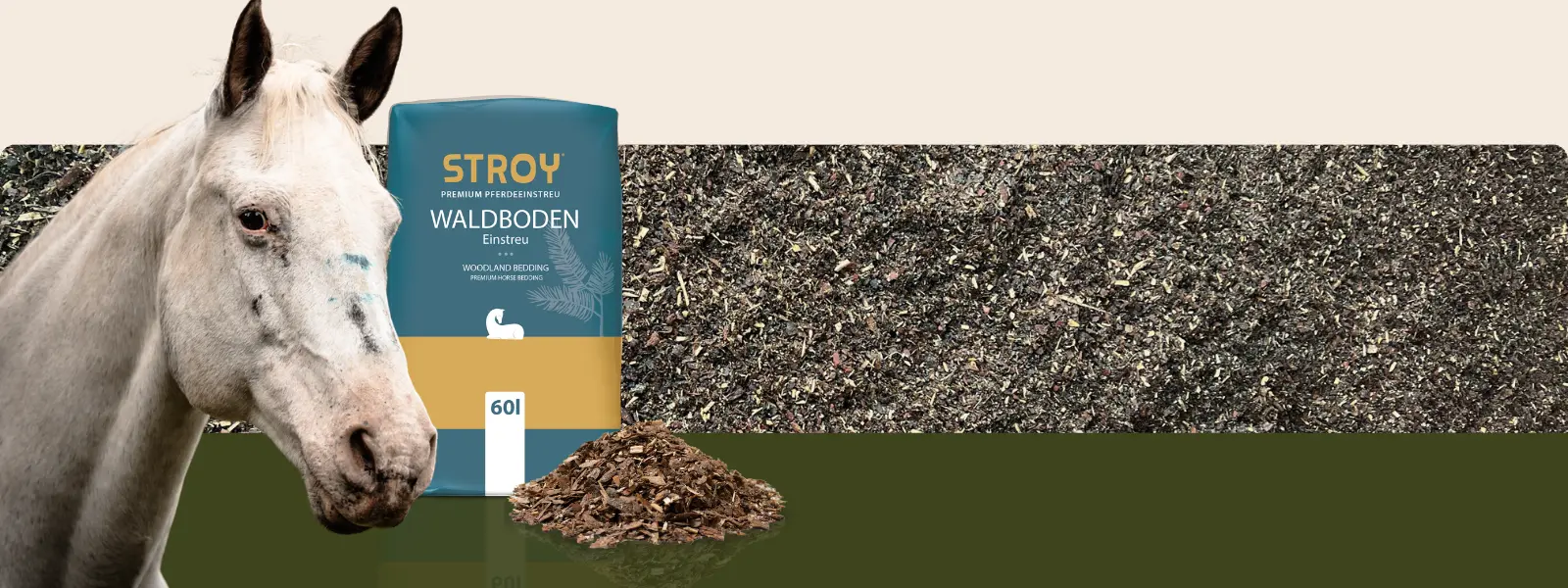 Waldboden Einstreu