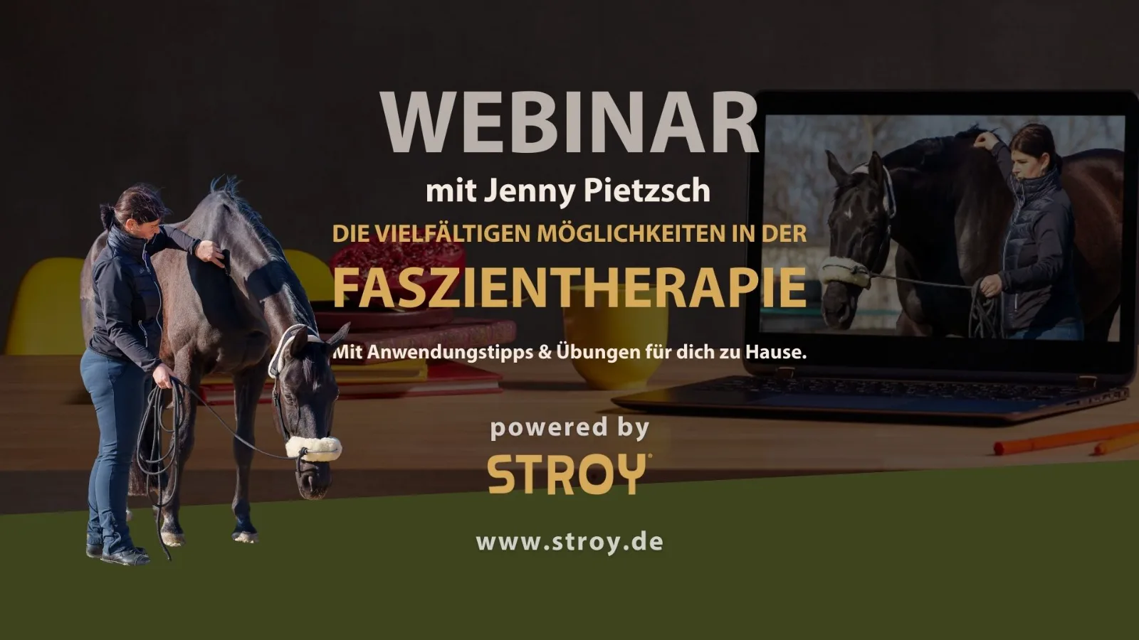 STROY Live-Webinare – Wissen für Pferdemenschen