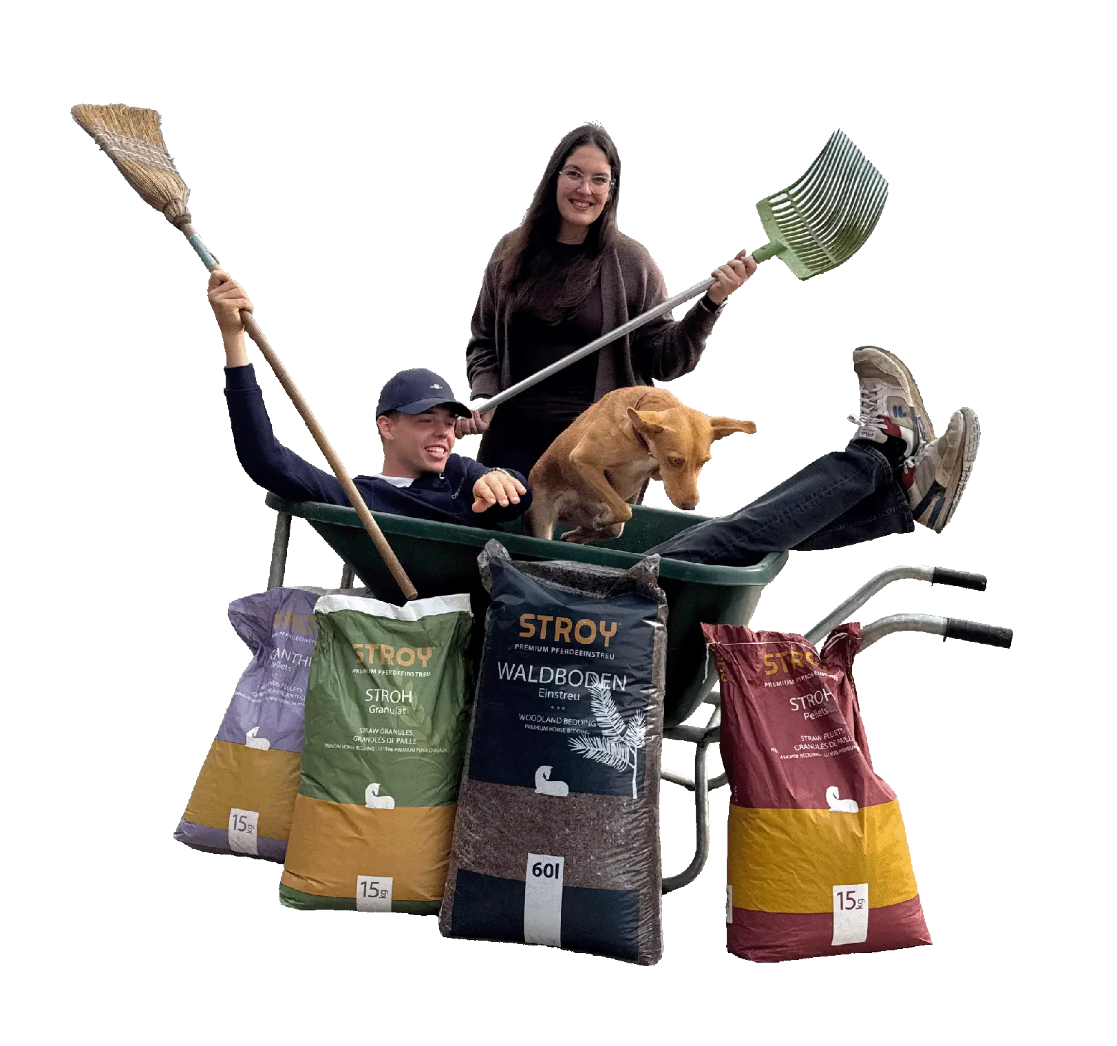 STROY AMbassadors