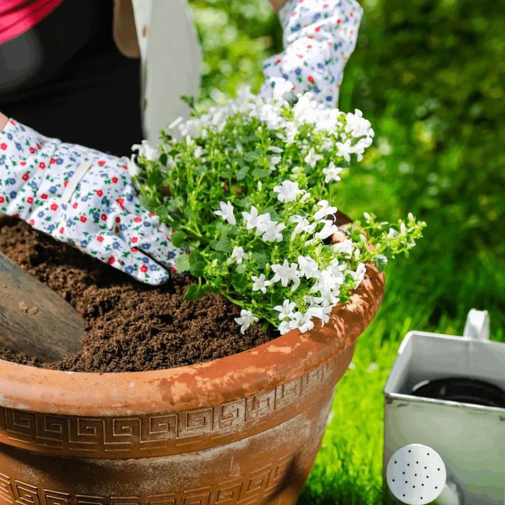 SBT40-Blumenerde-torffrei-40l-Anwendung2.webp
