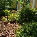 MUA60-Rindenmulch-Kiefer-Fein-Anwendung.webp