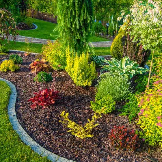 MUA60-Rindenmulch-Kiefer-Fein-Anwendung2.webp