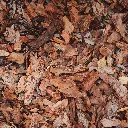 MUC60-Rindenmulch-Kiefer-Grob-Textur.webp